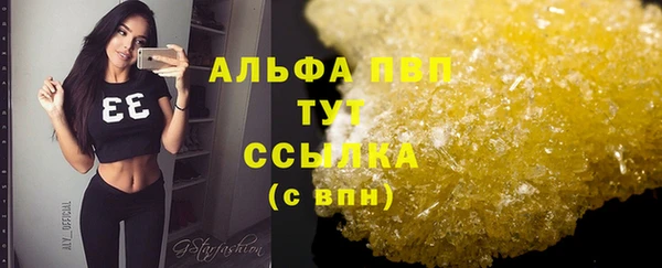 винт Новозыбков